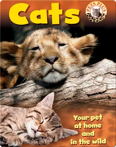 Cats book