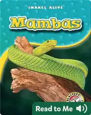 Mambas