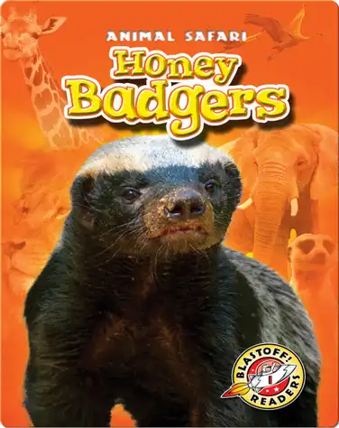 Honey Badgers book