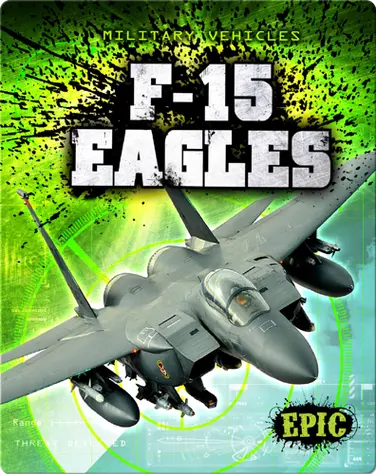 F-15 Eagles book