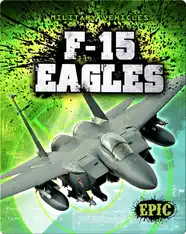 F-15 Eagles