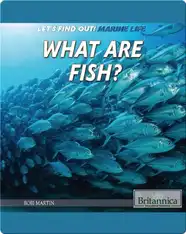 What Are Fish?