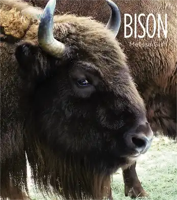 Bison book