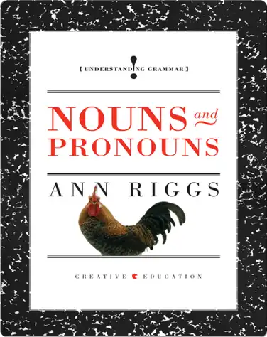 Nouns and Pronouns book