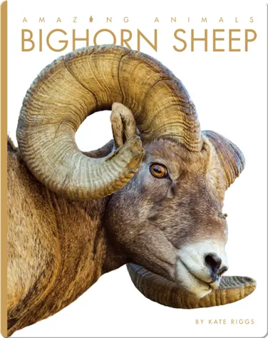 Bighorn Sheep book