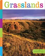 Grasslands