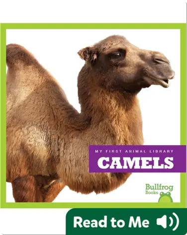 My First Animal Library: Camels book