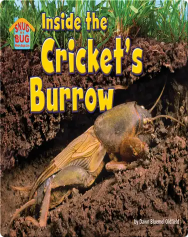 Inside the Cricket’s Burrow book