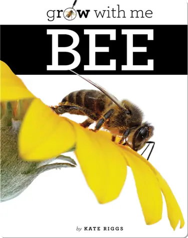 Bee book