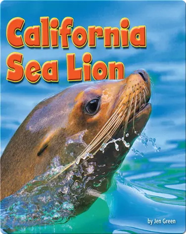 California Sea Lion book