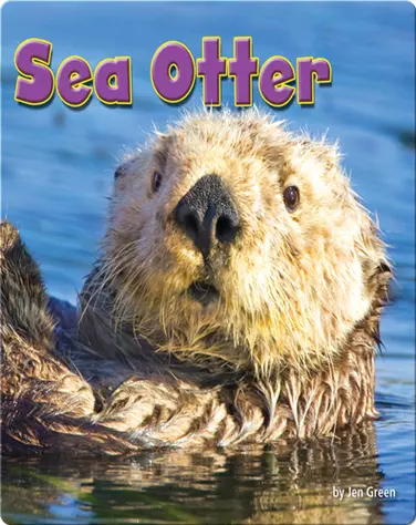 Sea Otter book
