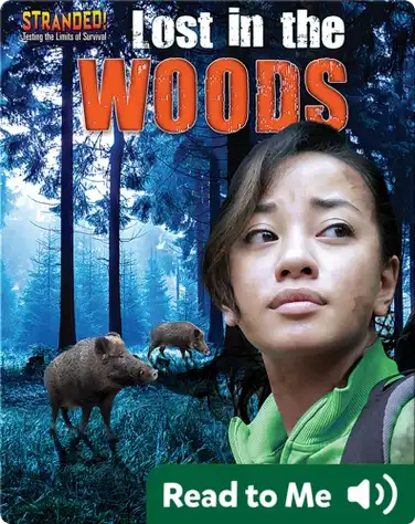 Lost in the Woods book