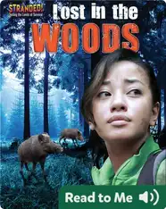 Lost in the Woods