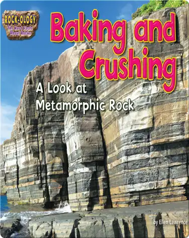 Baking and Crushing book