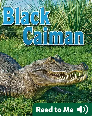 Black Caiman book