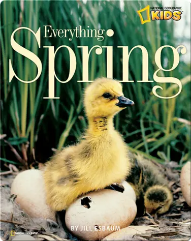 Everything Spring book