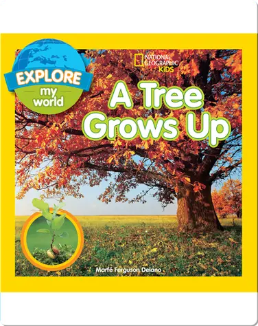 Explore My World A Tree Grows Up book