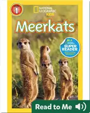 National Geographic Readers: Meerkats