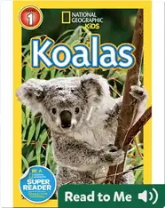 National Geographic Readers: Koalas