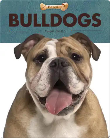 Bulldogs book