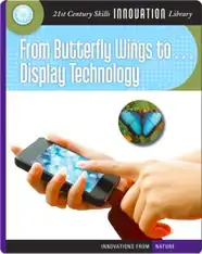 From Butterfly Wings to Display Technology