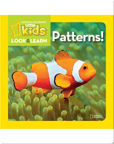 National Geographic Kids Look and Learn: Patterns! book