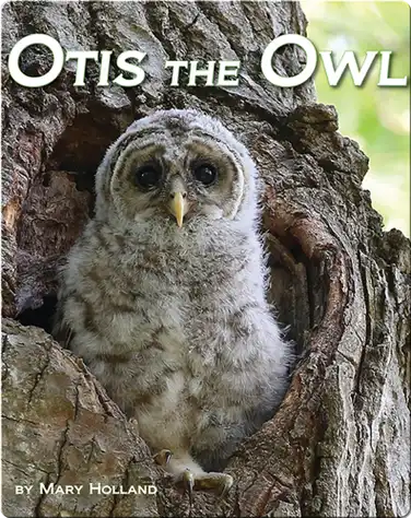 Otis the Owl book