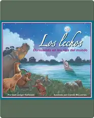 Los lechos: Durmiendo en los ríos del mundo