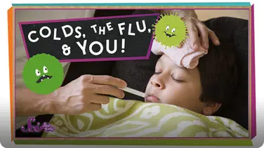 SciShow Kids: Colds, the Flu, and You book