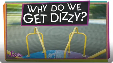 SciShow Kids: Why Do We Get Dizzy? book