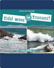 Tidal Wave or Tsunami?