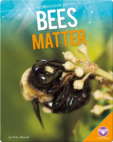 Bees Matter book