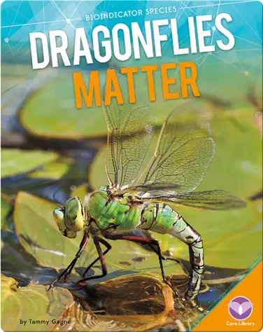 Dragonflies Matter book