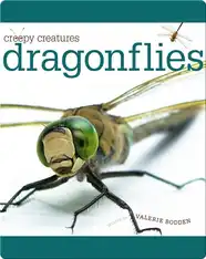 Dragonflies