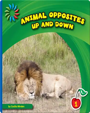 Up and Down book