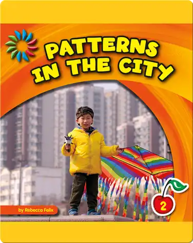 Patterns In The City book