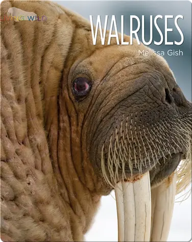 Walruses book
