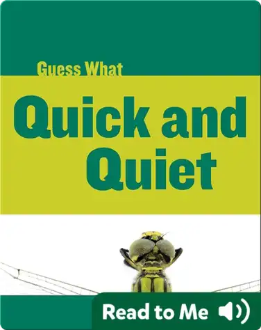 Quick and Quiet book