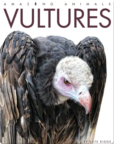 Vultures book