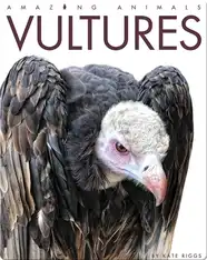Vultures