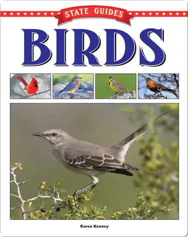 State Guides to Birds book