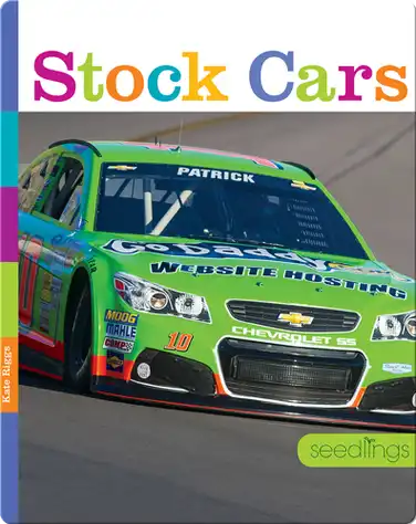 Stock Cars book