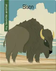 Bison