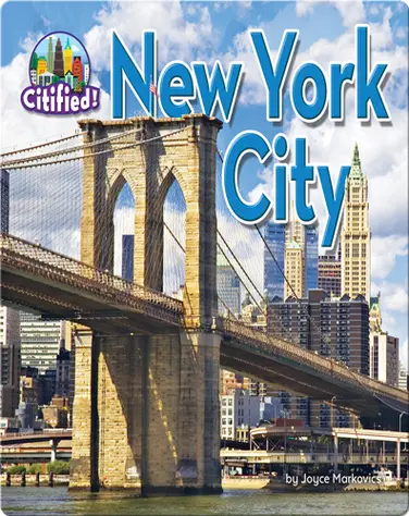 New York City book