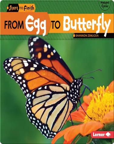 From Egg to Butterfly book
