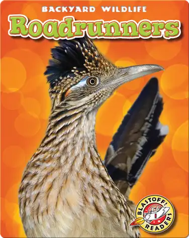 Backyard Wildlife: Roadrunners book