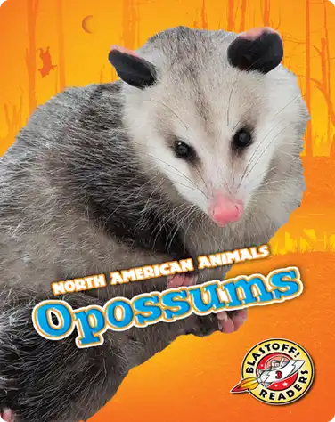 North American Animals: Opossums book