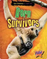 Born Survivors