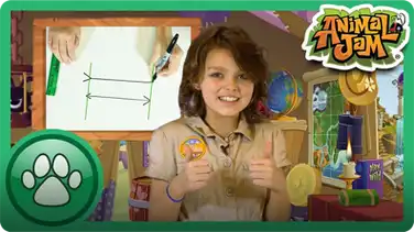 Optical Illusions! book