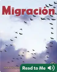 Migración (Migration)